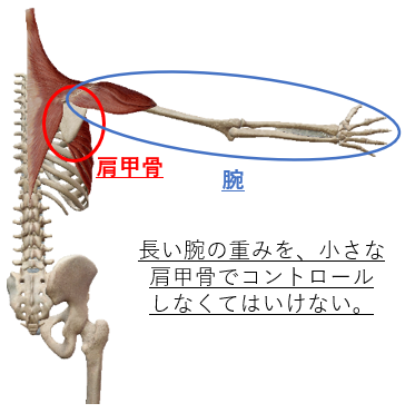 脳梗塞と片麻痺 手のリハビリによる改善に必要なこと お知らせ 公式 脳梗塞リハビリbot静岡 片麻痺 しびれ等 脳梗塞の後遺症改善 脳梗塞と片麻痺 手のリハビリによる改善に必要なこと お知らせ 公式 脳梗塞リハビリbot静岡 片麻痺 しびれ等 脳梗塞の後遺症改善