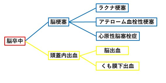 脳梗塞の後遺症 さまざまな後遺症と症状について お知らせ 公式 脳梗塞リハビリbot静岡 片麻痺 しびれ等 脳梗塞の後遺症改善