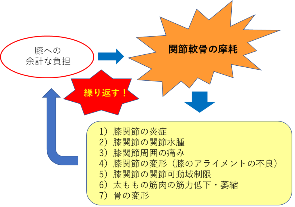 変形性膝関節症の症状