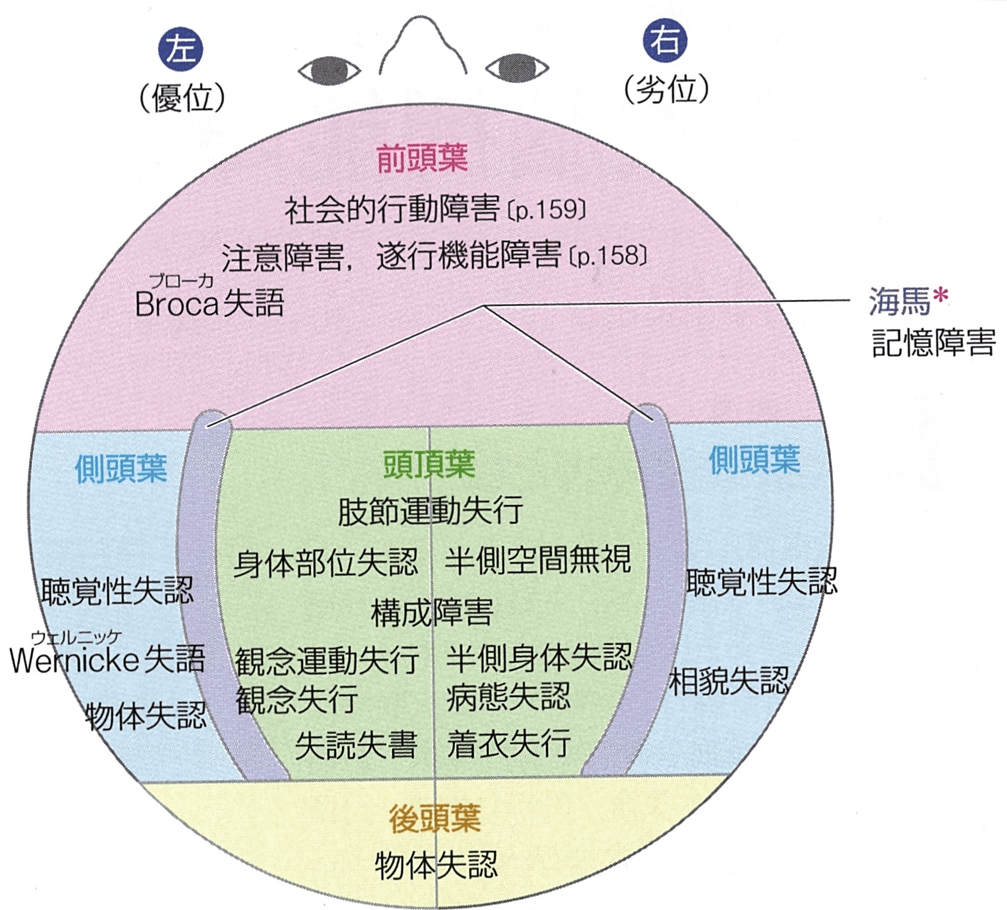 高次脳機能障害の見取り図